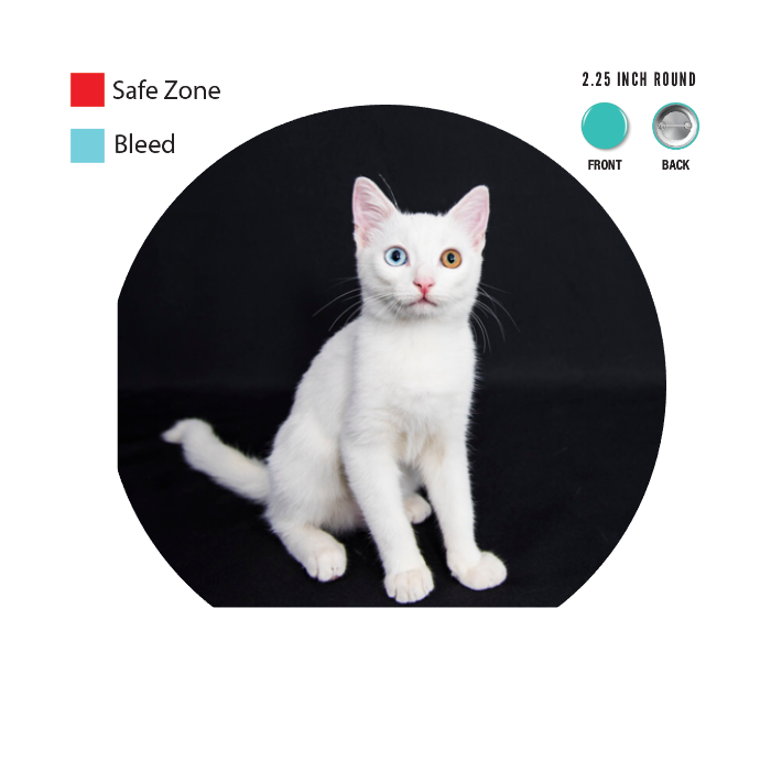 Design Your Own Button