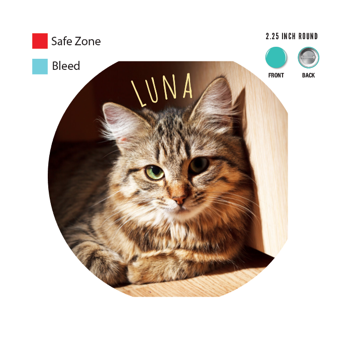 Design Your Own Button