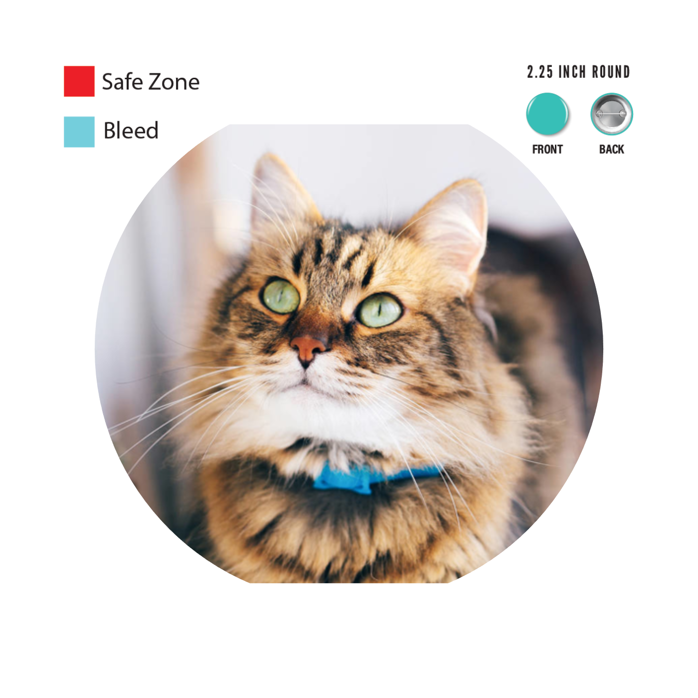 Design Your Own Button