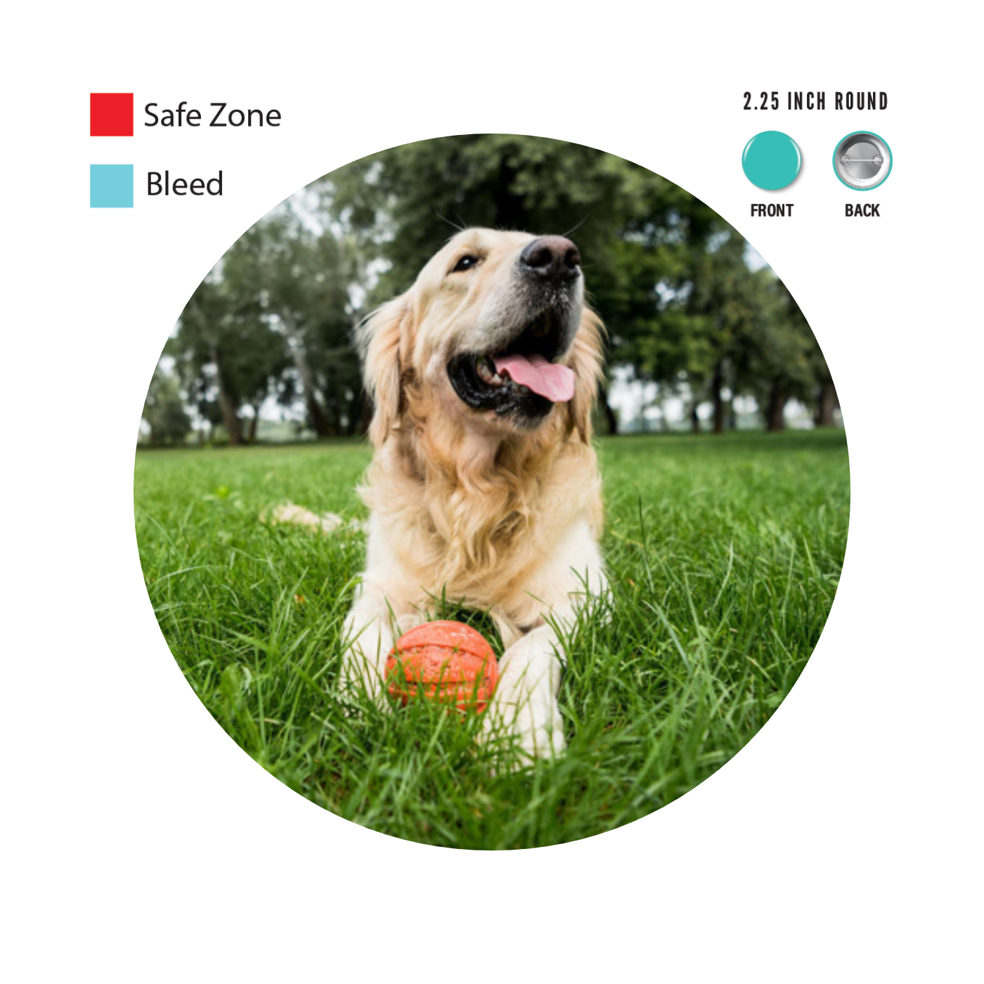 Design Your Own Button