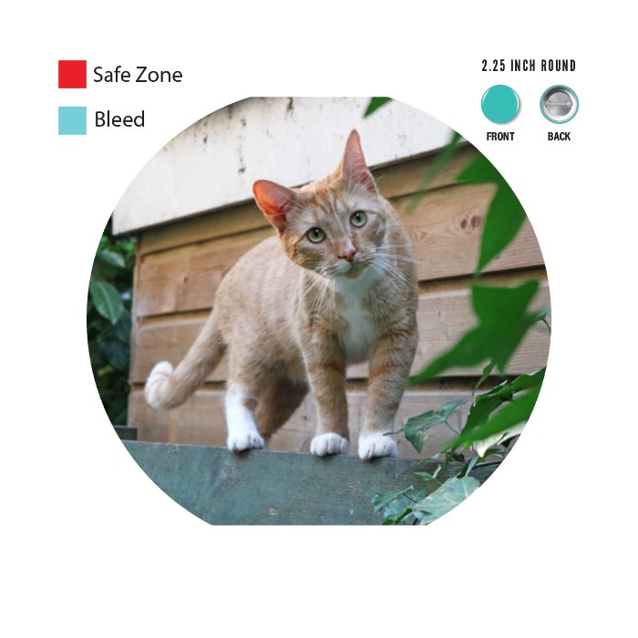 Design Your Own Button