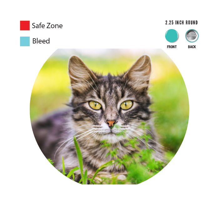 Design Your Own Button